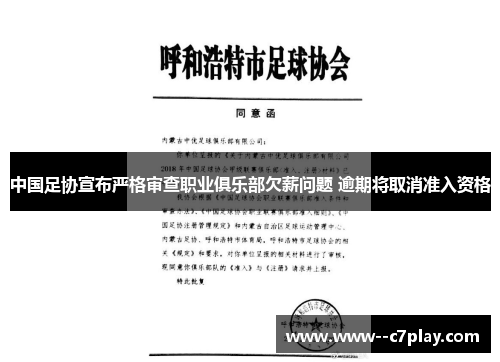 中国足协宣布严格审查职业俱乐部欠薪问题 逾期将取消准入资格 中国足协宣布严格审查职业俱乐部欠薪问题 逾期将取消准入资格