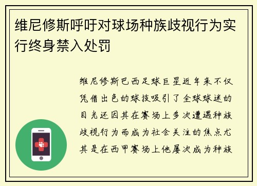 维尼修斯呼吁对球场种族歧视行为实行终身禁入处罚